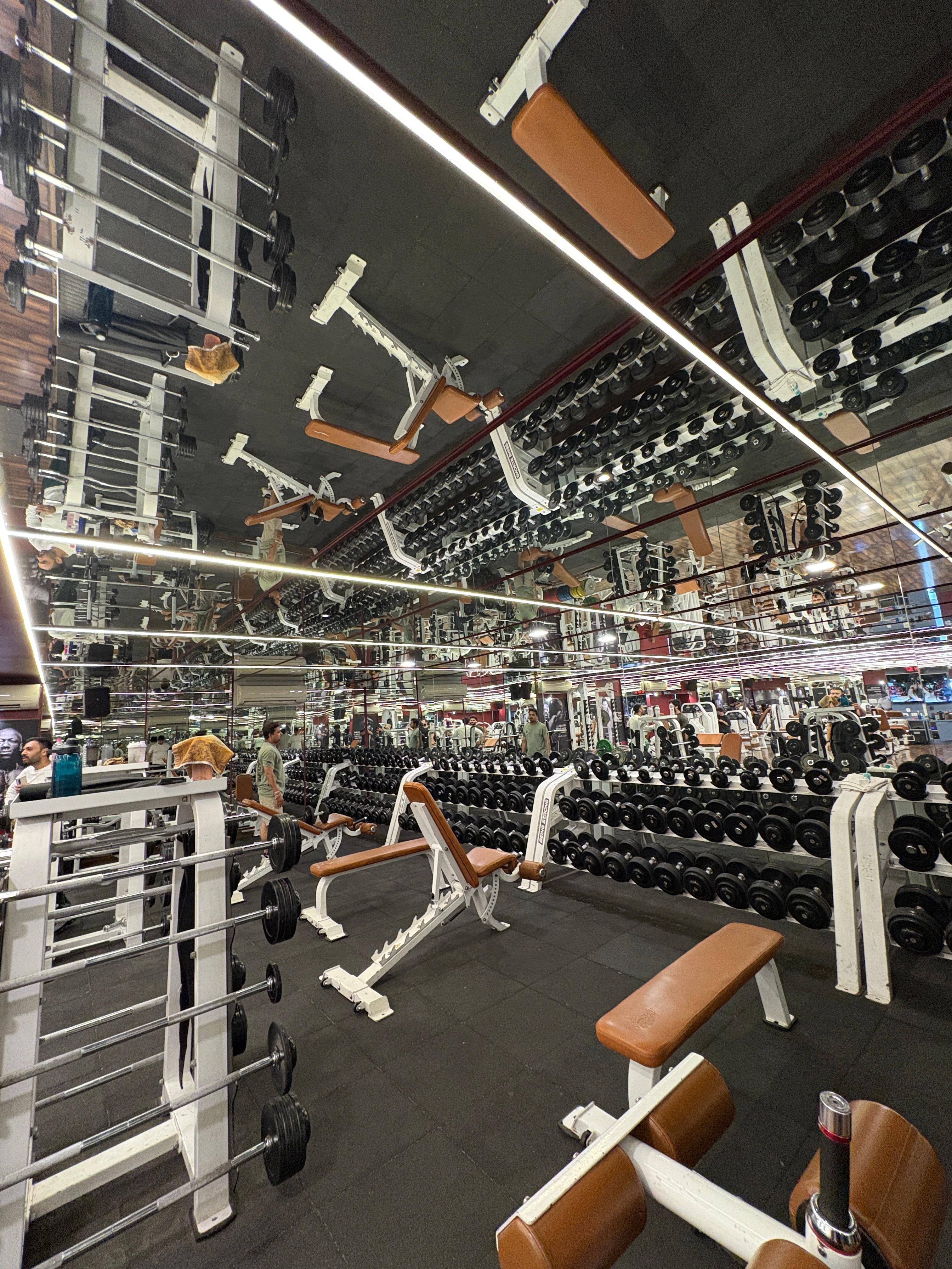 gym 4