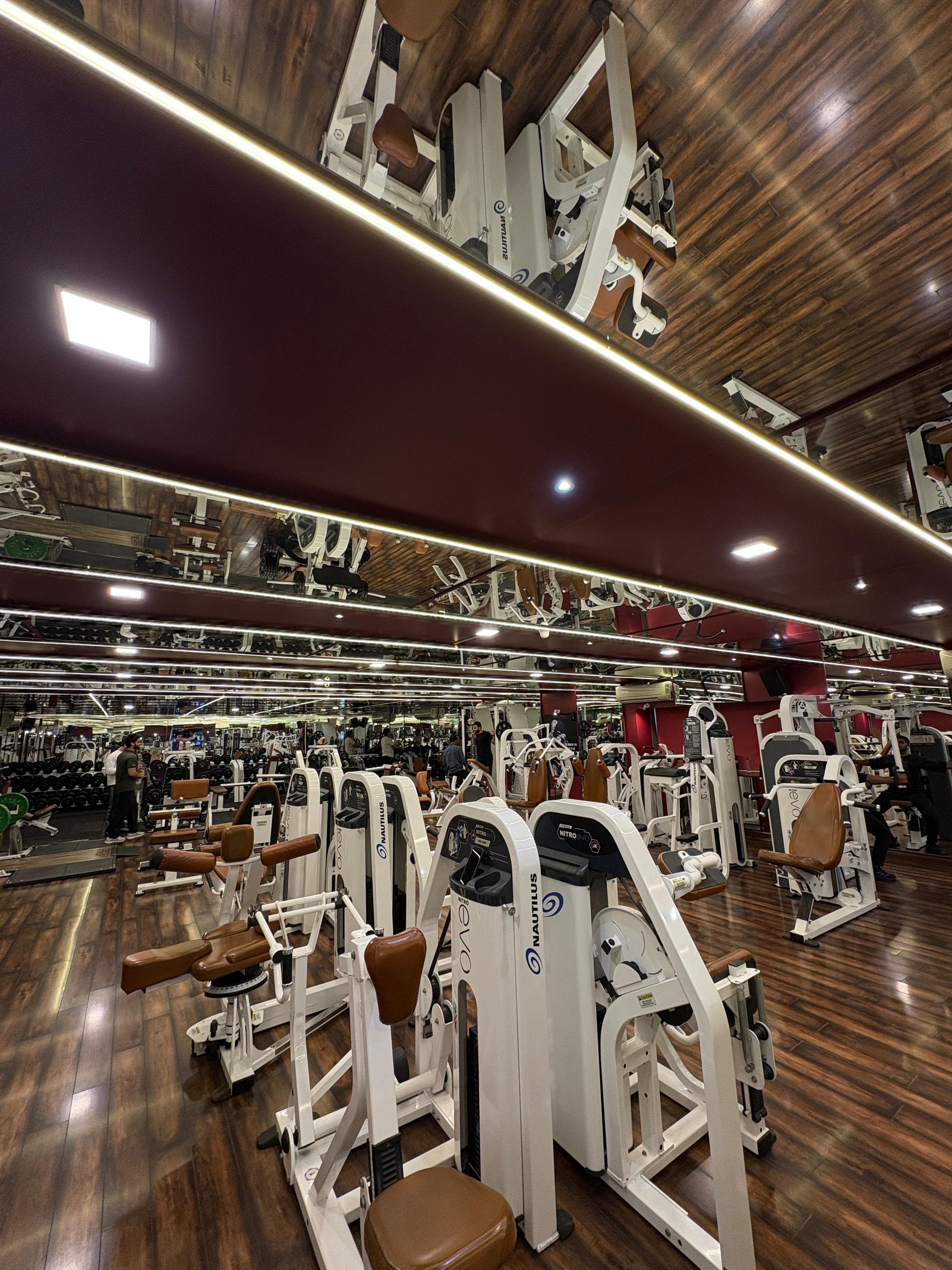 gym 6